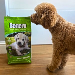 Храна за кучета до 2 години