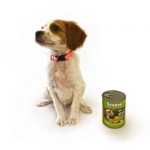 Веган консерва