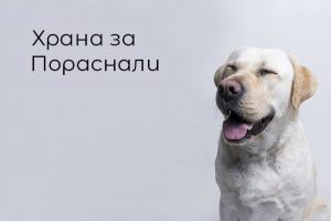 веган храна за пораснали кучта
