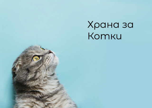 веган храна за котки