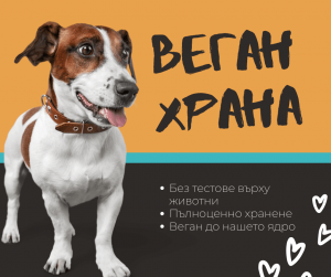 Веган храна за кучета и котки