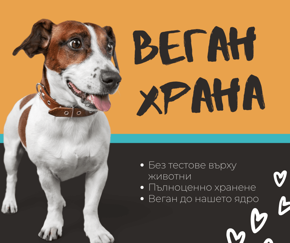 Веган храна за кучета и котки